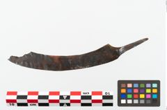 Foto von Eisengriffangelmesser (NHMW-PRAE-002270)